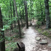 Review photo of Cloudland Canyon State Park Campground by Maria E., July 18, 2021