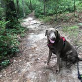 Review photo of Cloudland Canyon State Park Campground by Maria E., July 18, 2021