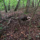 Review photo of Cloudland Canyon State Park Campground by Maria E., July 18, 2021