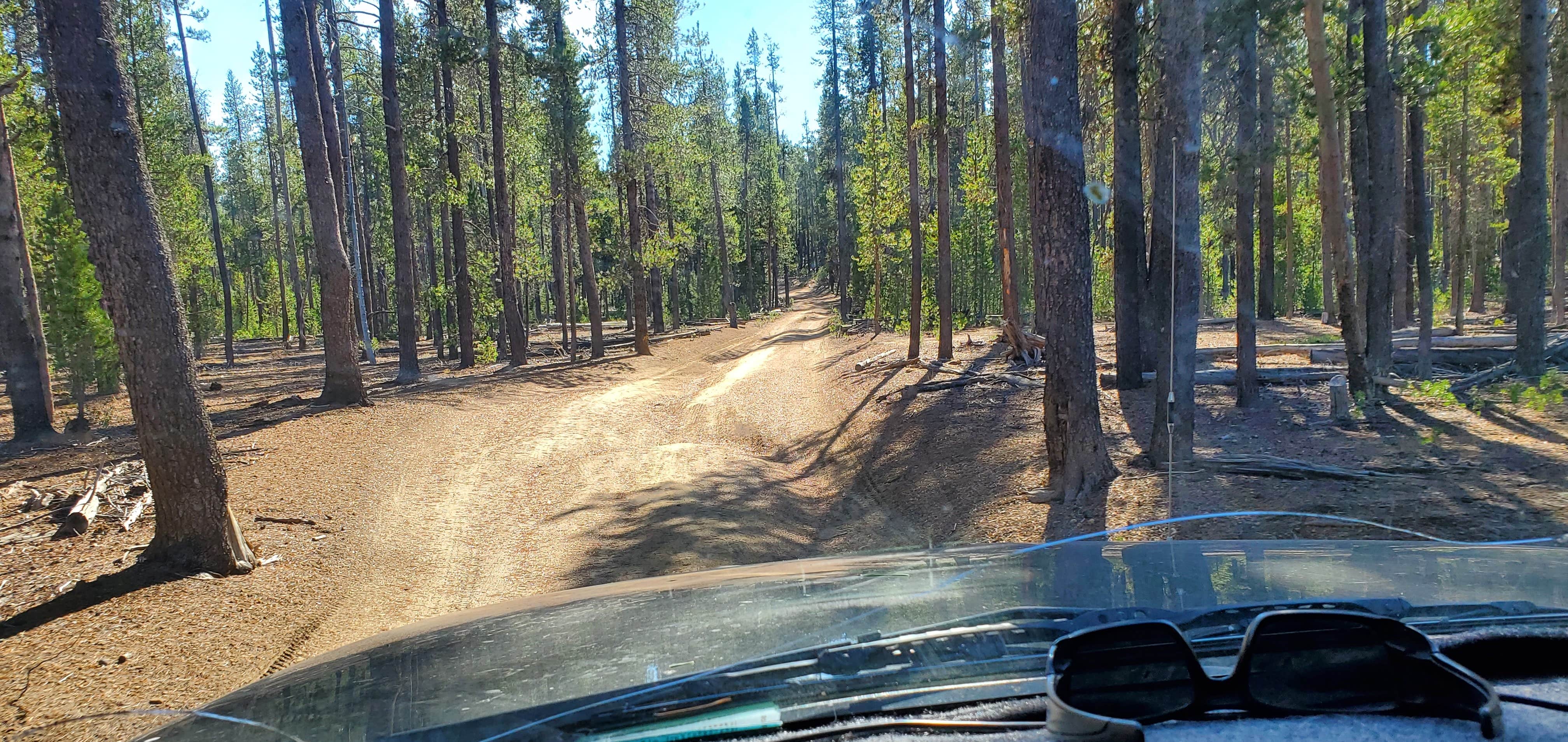 Best dispersed camping in Crater Lake National Park The Dyrt