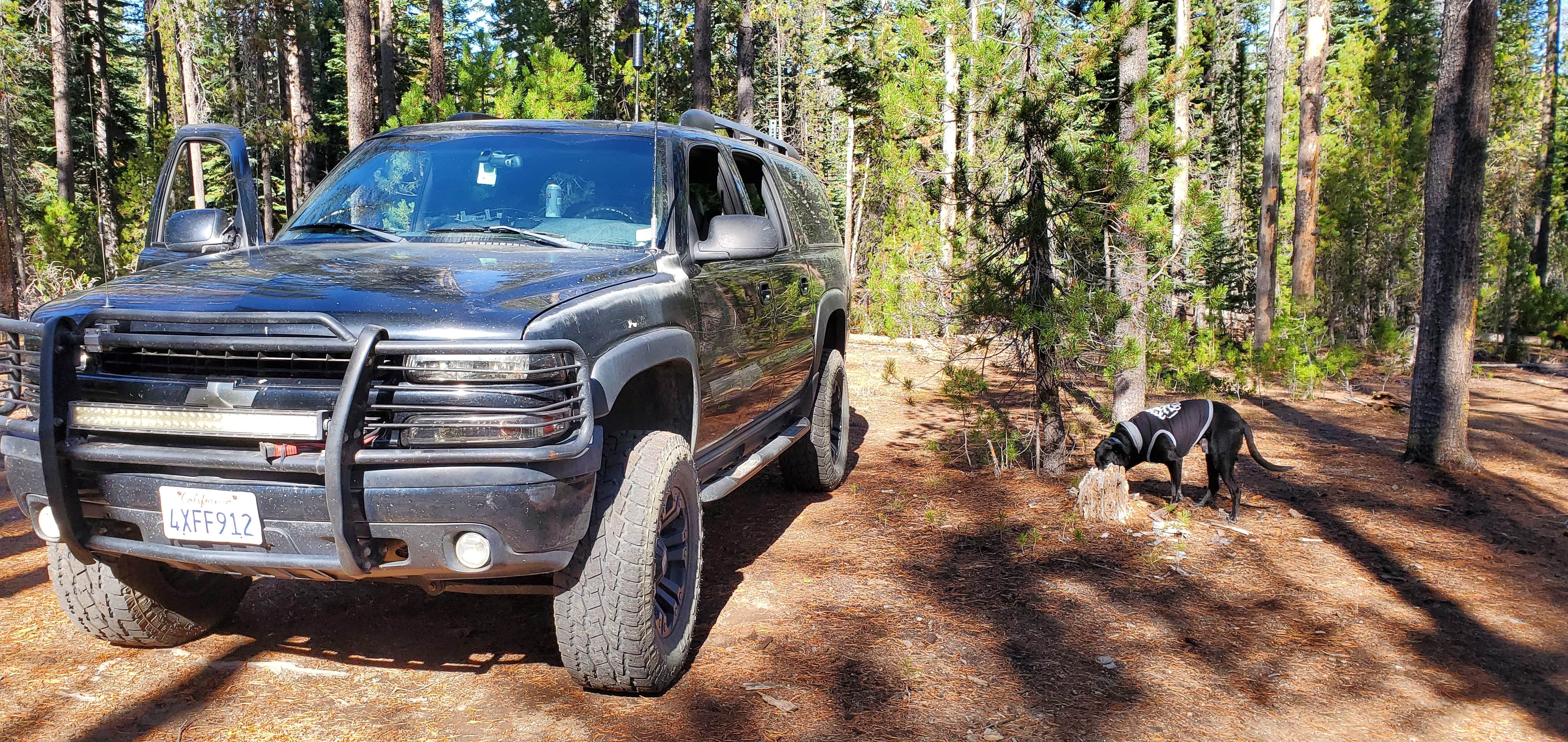 Jim W.'s photo of camping with pets at Mount Thielsen Wilderness near Crater Lake National Park