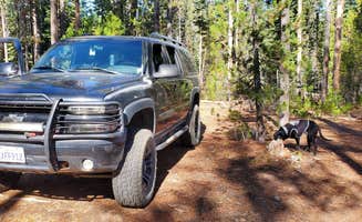 Jim W.'s photo of camping with pets at Mount Thielsen Wilderness near Chemult, OR