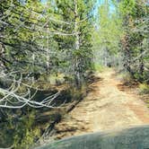 Review photo of Mount Thielsen Wilderness by Jim W., July 18, 2021