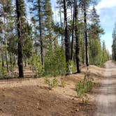 Review photo of Mount Thielsen Wilderness by Jim W., July 18, 2021