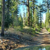 Review photo of Mount Thielsen Wilderness by Jim W., July 18, 2021