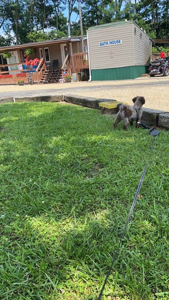 Rodney L.'s photo of camping with pets at Indian Springs Campground near Hamilton, OH
