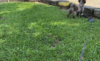 Rodney L.'s photo of camping with pets at Indian Springs Campground near Addyston, OH