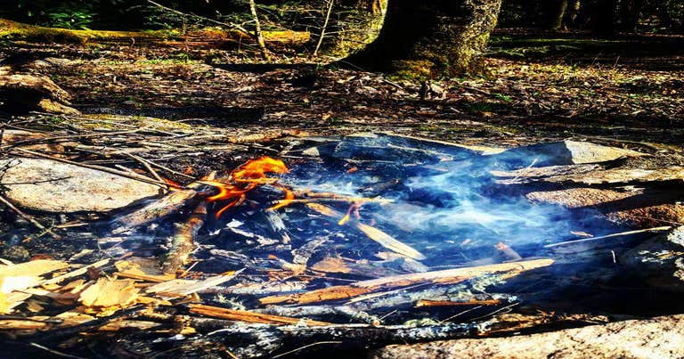 #39 Pretty Hollow — Great Smoky Mountains National Park