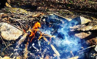 Stephanie R.'s photo at #39 Pretty Hollow — Great Smoky Mountains National Park in North Carolina