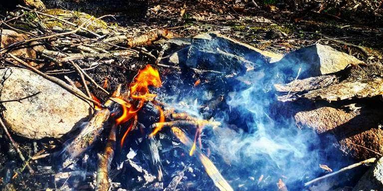 Camper submitted image from #39 Pretty Hollow — Great Smoky Mountains National Park