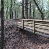 Review photo of Rocky Springs Campground, Milepost 54.8 — Natchez Trace Parkway by Zack K., July 18, 2021