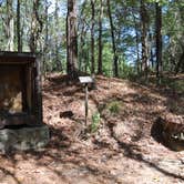 Review photo of Rocky Springs Campground, Milepost 54.8 — Natchez Trace Parkway by Zack K., July 18, 2021