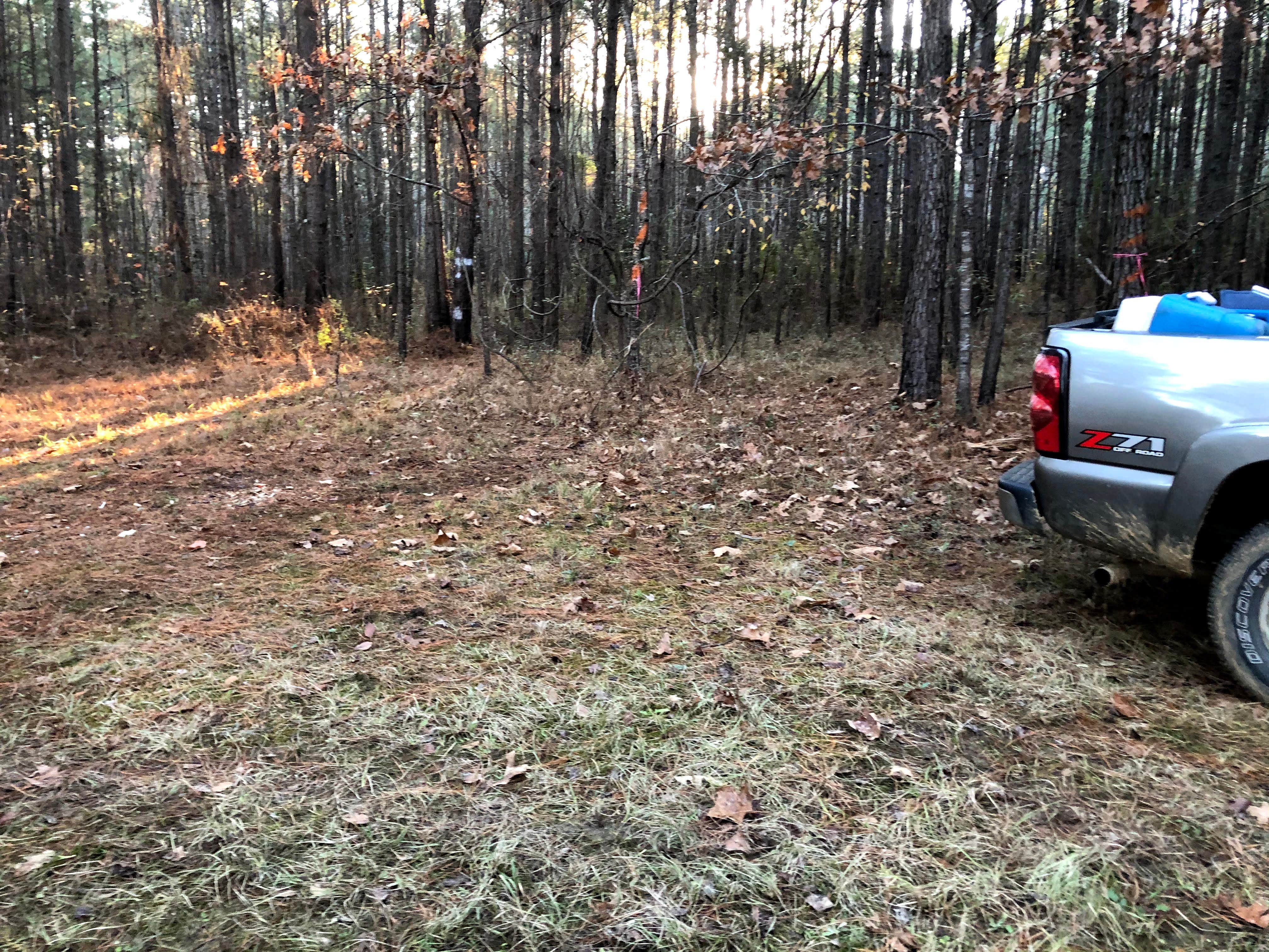 Best camping in Homochitto National Forest The Dyrt