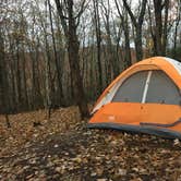 Review photo of Blue Bear Mountain Camp by Zack K., July 18, 2021