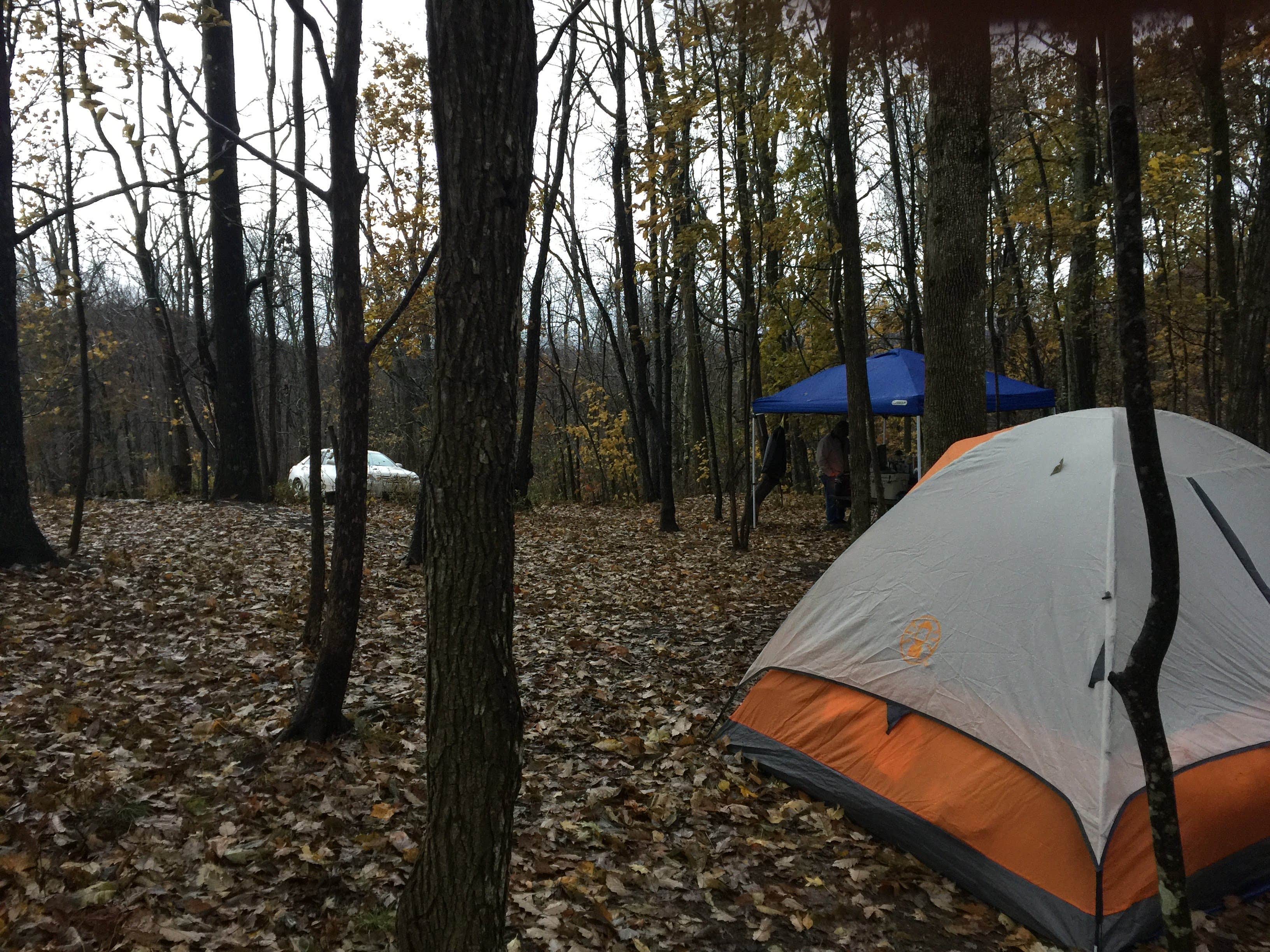 Zack K.'s photo of tent camping at Blue Bear Mountain Camp near Traphill, NC
