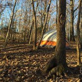 Review photo of Blue Bear Mountain Camp by Zack K., July 18, 2021