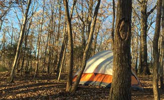 Zack K.'s photo of tent camping at Blue Bear Mountain Camp near Taylorsville, NC
