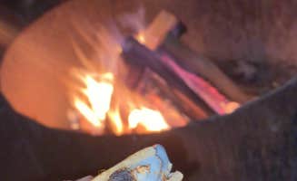 Briana B.'s photo of camping with pets at Rockwood State Park Campground near Morrison, IL