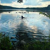 Review photo of Rockwood State Park Campground by Briana B., July 18, 2021