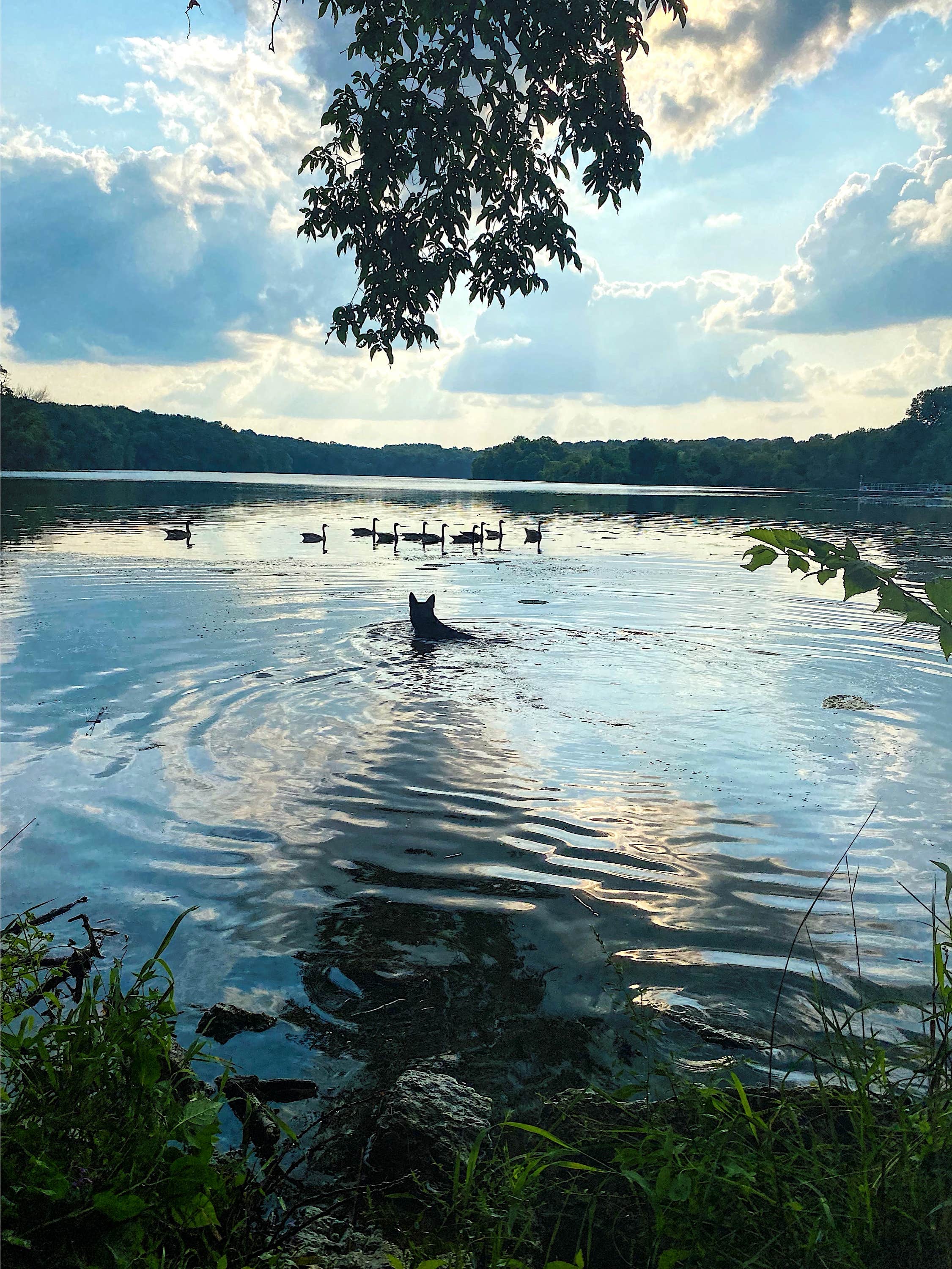 Camper submitted image from Rockwood State Park Campground - 2