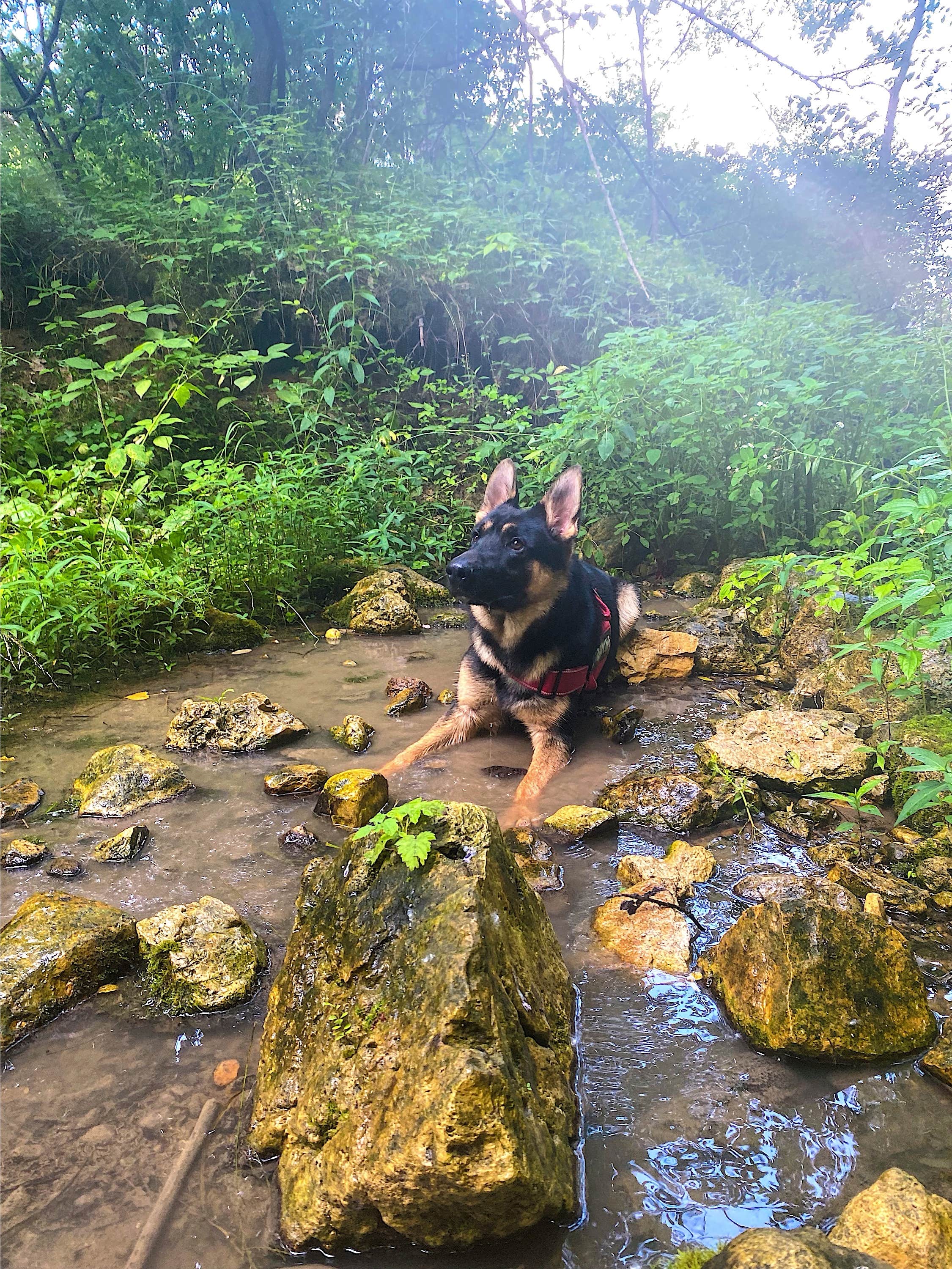 Camper-submitted photo at Rockwood State Park Campground near Sterling, IL