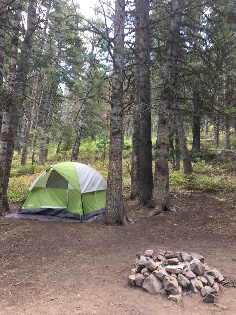 Salamander on sale flats campground