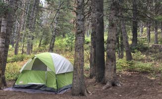Ash S.'s photo at Salamander Flat near American Fork, UT