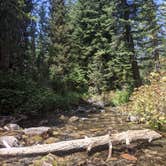 Review photo of Salamander Flat by Ash S., July 18, 2021