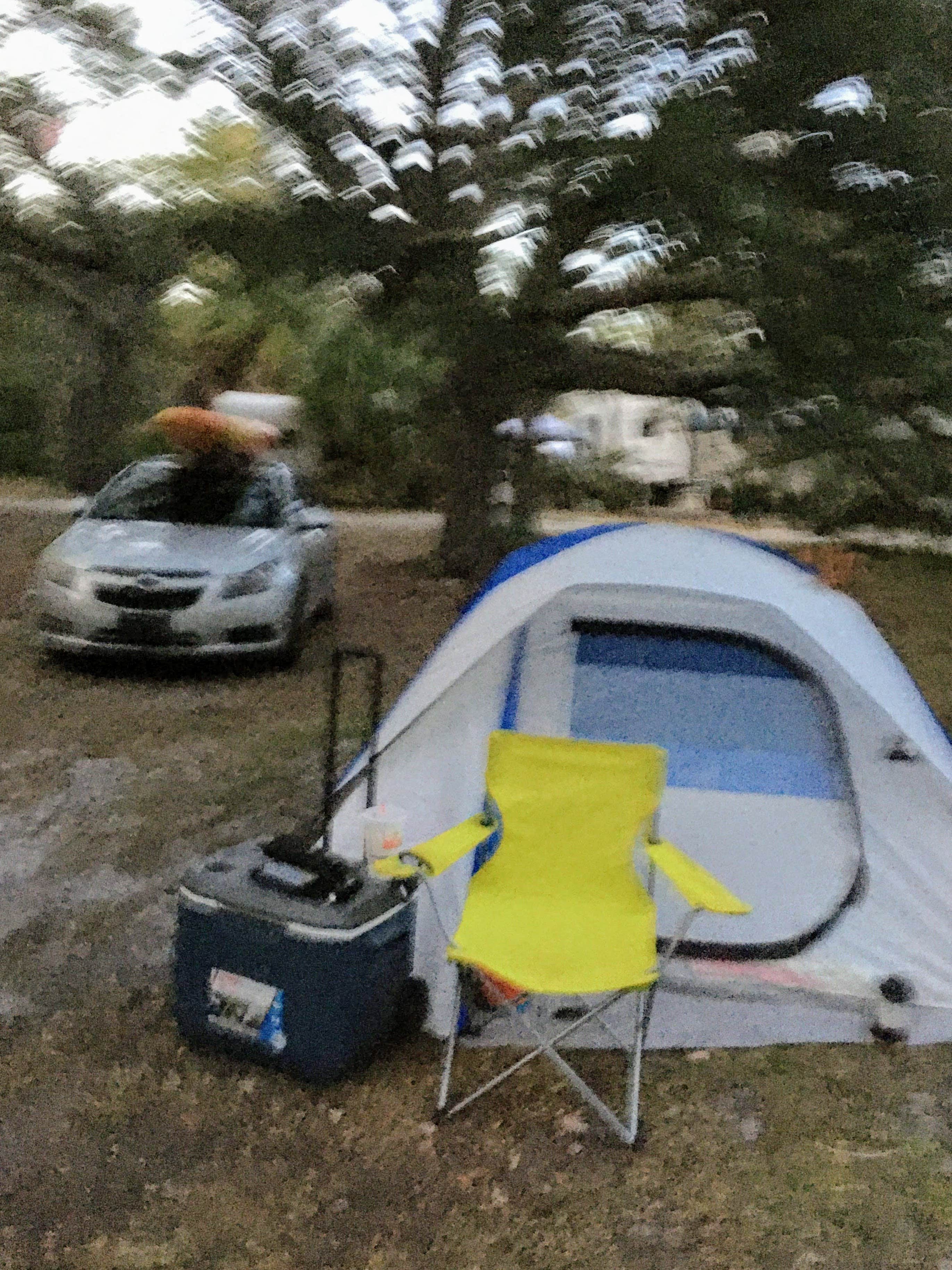 Amy's photo at Cody's RV Park near Holiday, FL