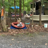 Review photo of Spring Gulch Resort Campground by Mya M., July 18, 2021