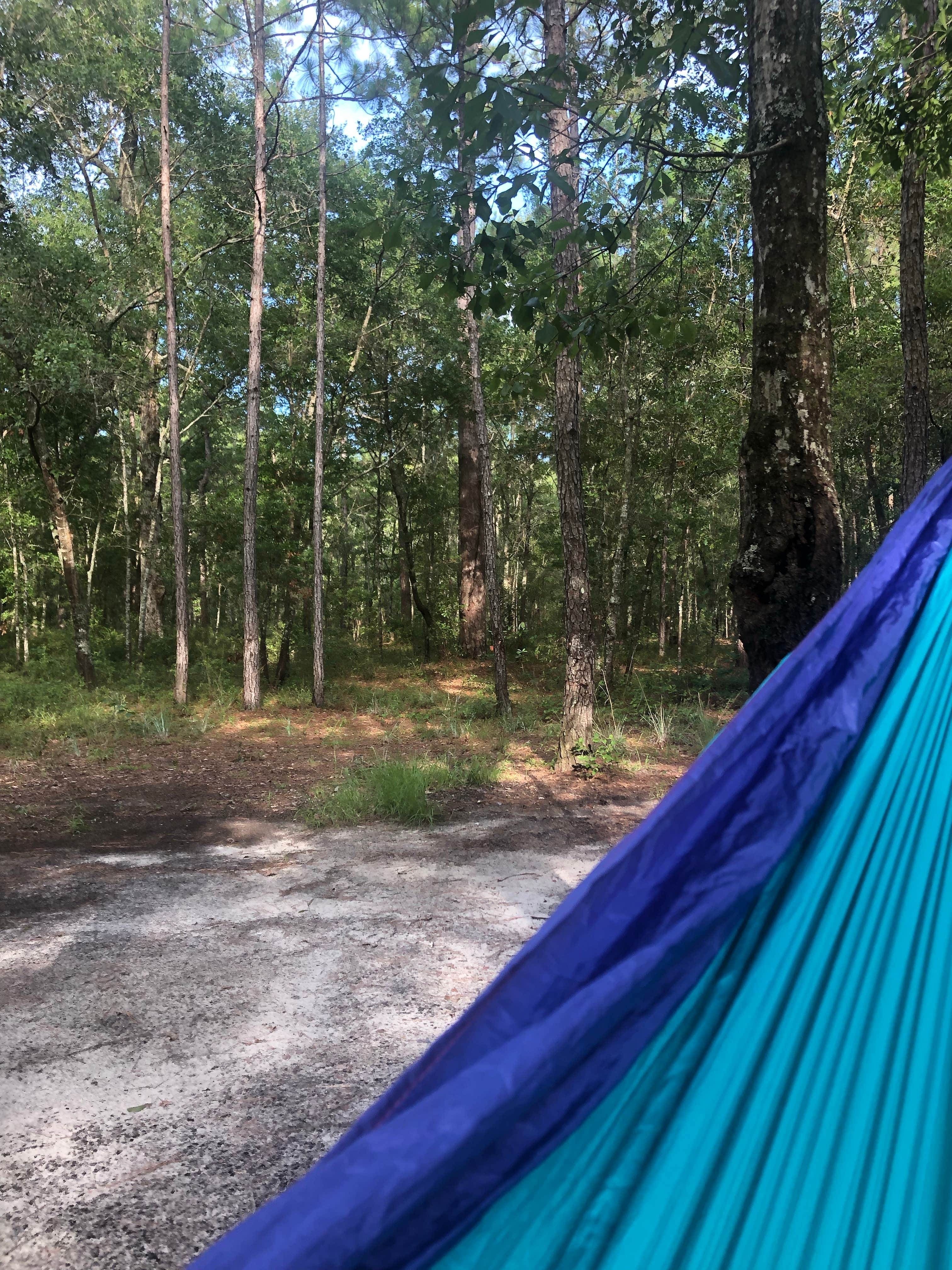 Chloe S.'s photo at Halfway Creek - Dispersed Camping near McClellanville, SC