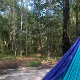 Review photo of Halfway Creek - Dispersed Camping by Chloe S., July 17, 2021