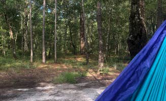 Chloe S.'s photo of a dispersed camping area at Halfway Creek - Dispersed Camping in South Carolina