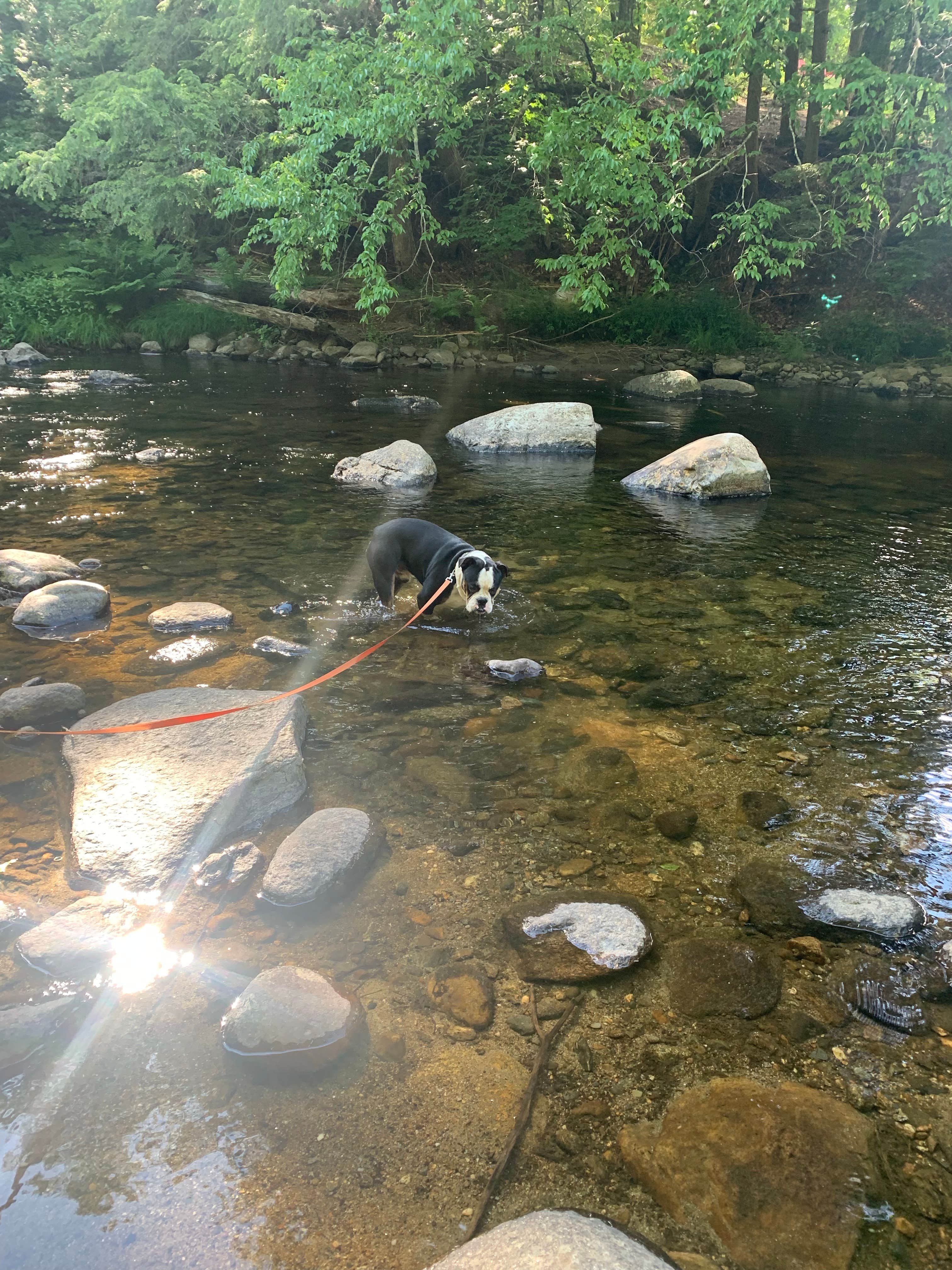 Camper-submitted photo at Crows Nest near Springfield, NH