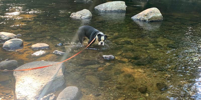 Camper submitted image from Crows Nest