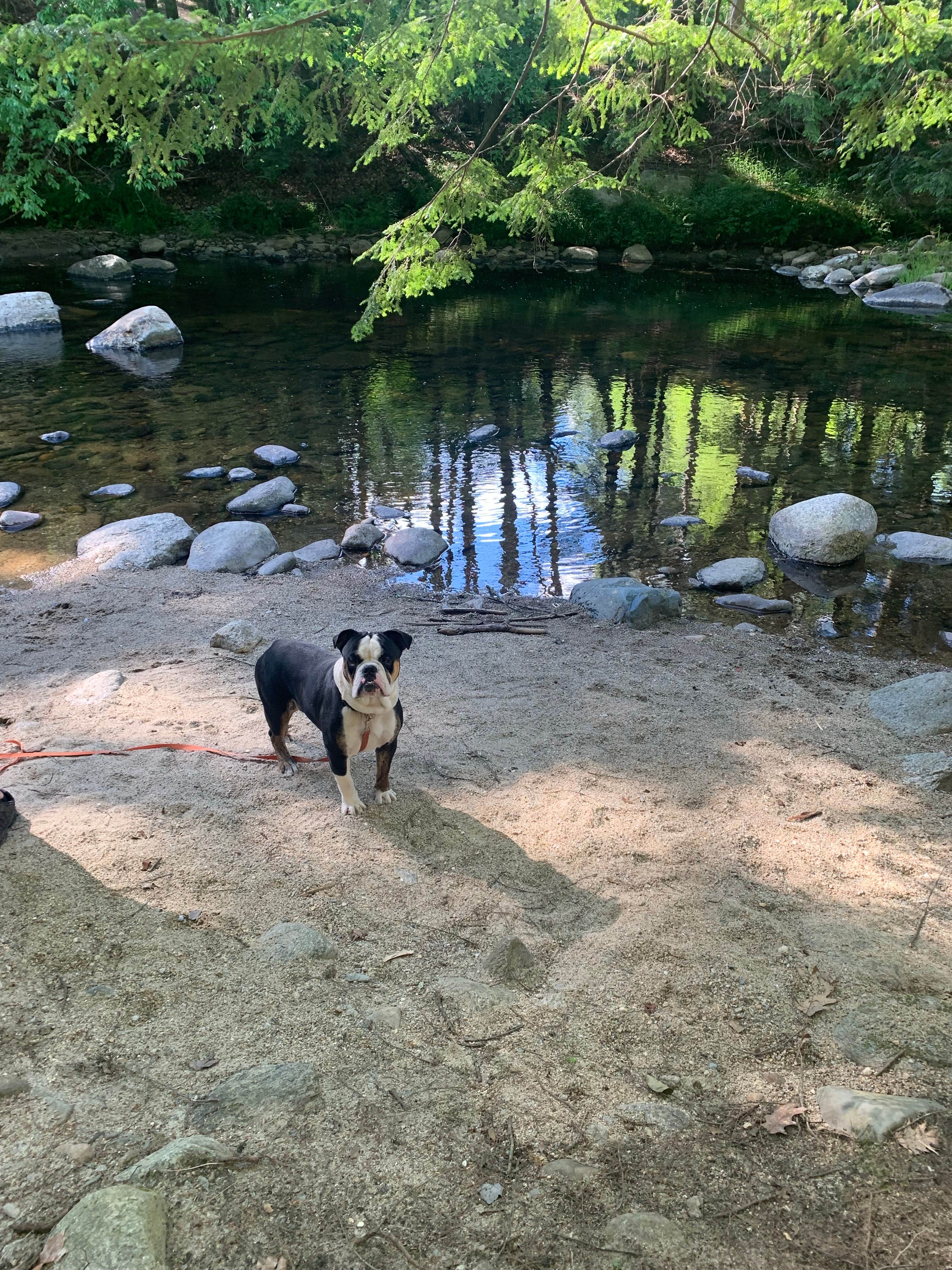 Camper-submitted photo at Crows Nest near Springfield, NH