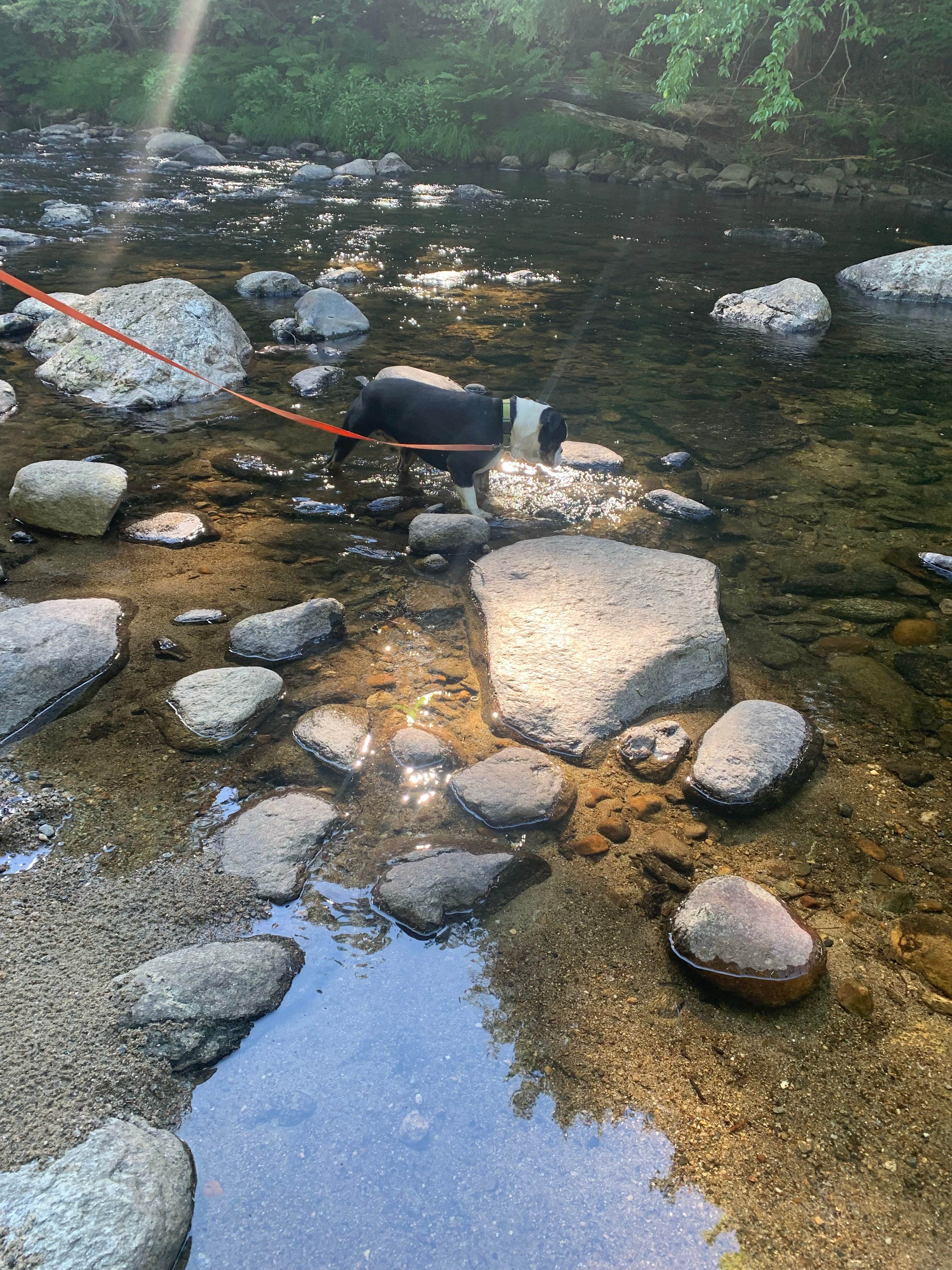 Camper-submitted photo at Crows Nest near Springfield, NH