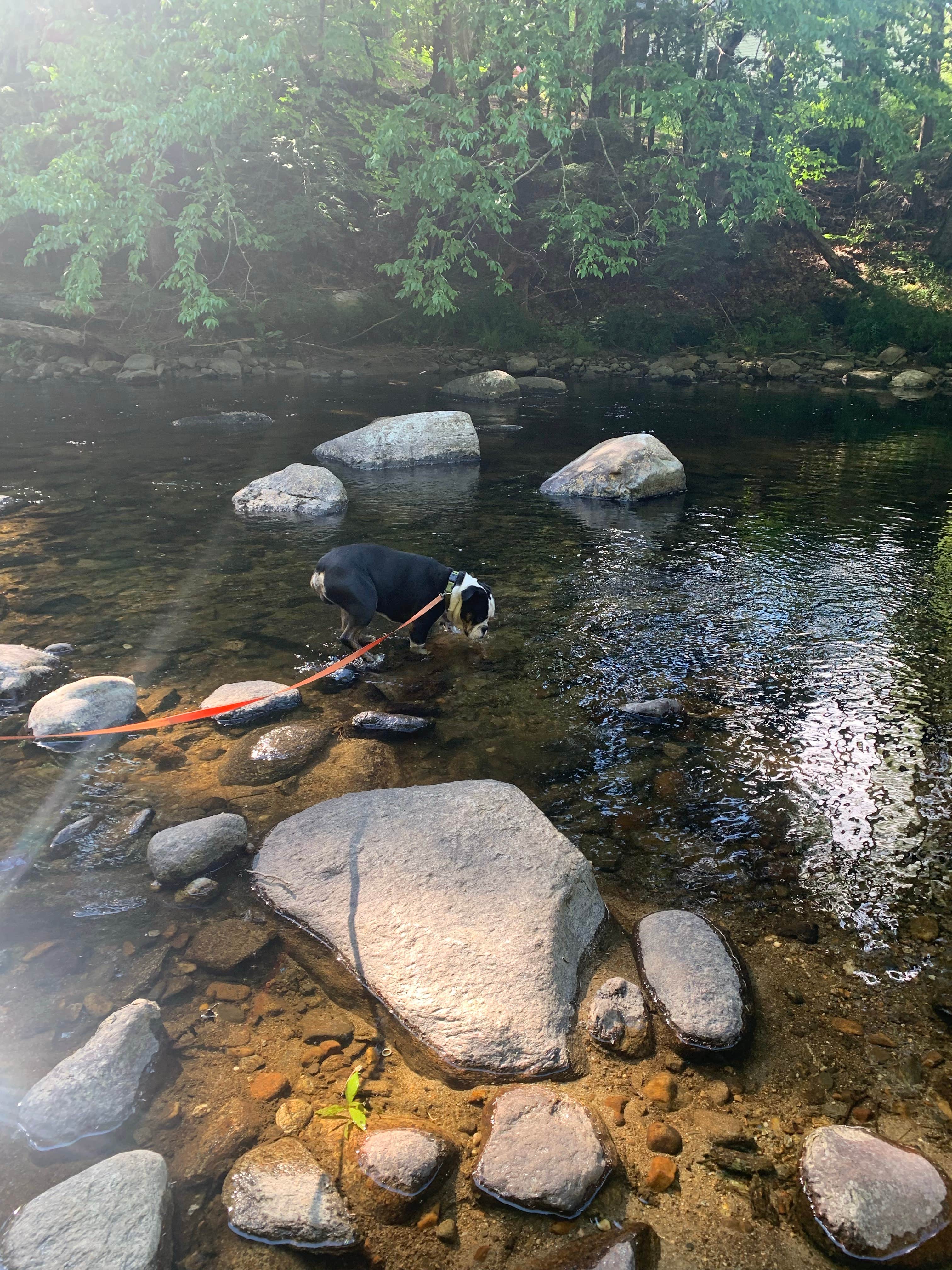 Camper-submitted photo at Crows Nest near Springfield, NH