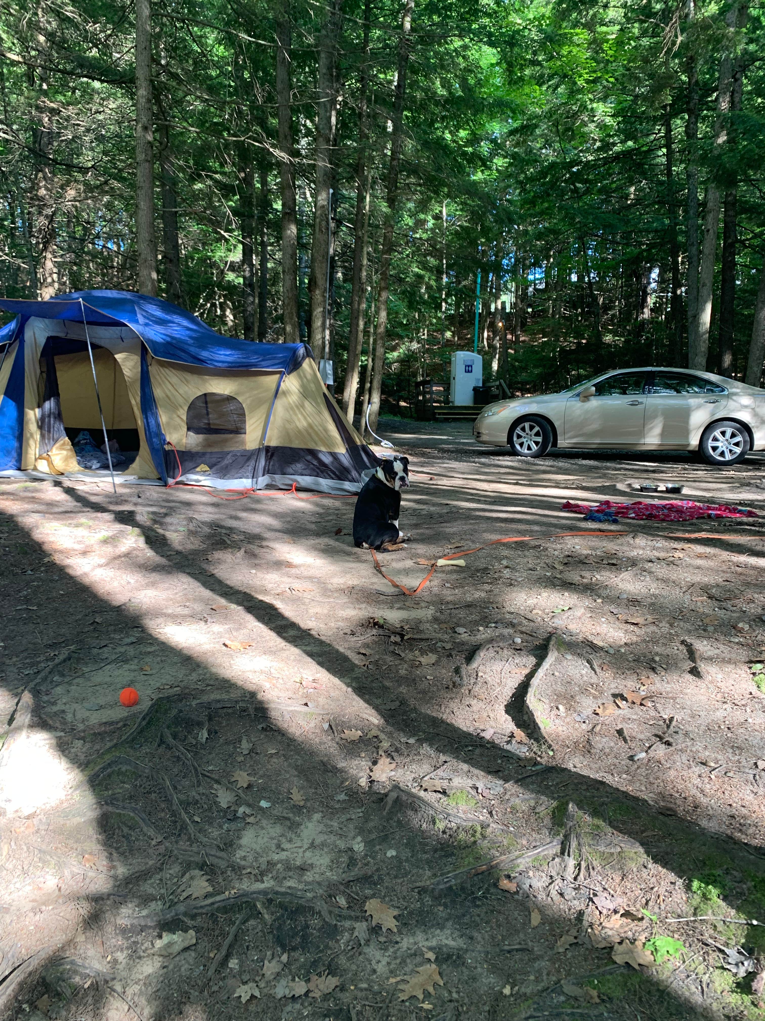 patrick M.'s photo at Crows Nest near Springfield, NH