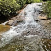 Review photo of Vogel State Park Campground by Darlene R., July 18, 2021