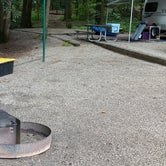 Review photo of Vogel State Park Campground by Darlene R., July 18, 2021