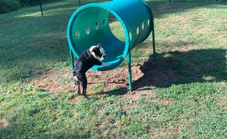 patrick M.'s photo of camping with pets at Wakeda Campground, LLC near Rockport, MA