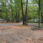 Review photo of Otsego Lake State Park Campground by Jason N., July 18, 2021