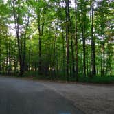 Review photo of Connors Lake Campground — Flambeau River State Forest by Debra M., July 18, 2021