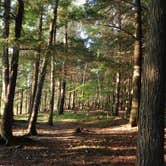 Review photo of Connors Lake Campground — Flambeau River State Forest by Debra M., July 18, 2021