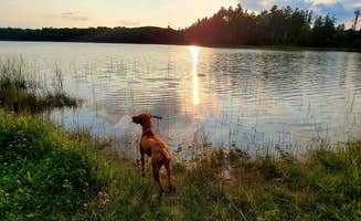 Jason N.'s photo of camping with pets at Pickerel Lake (Otsego) State Forest Campground near Rogers City, MI