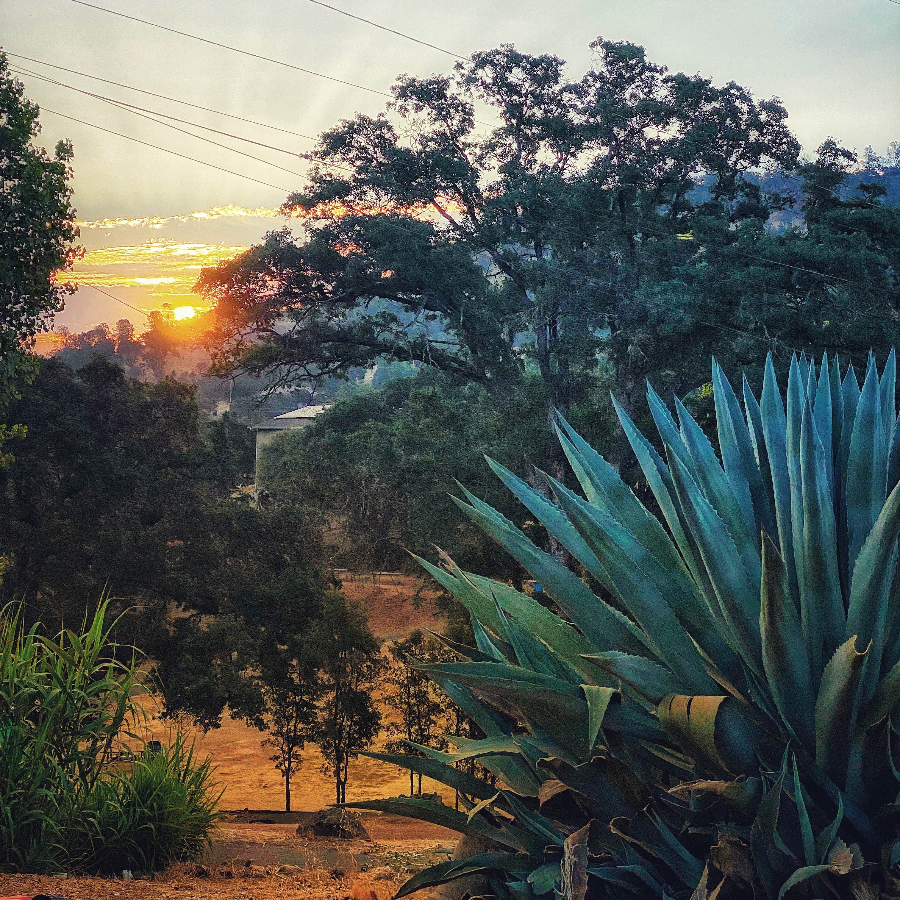 Camper-submitted photo at Lake Tulloch RV Campground and Marina near Waterford, CA