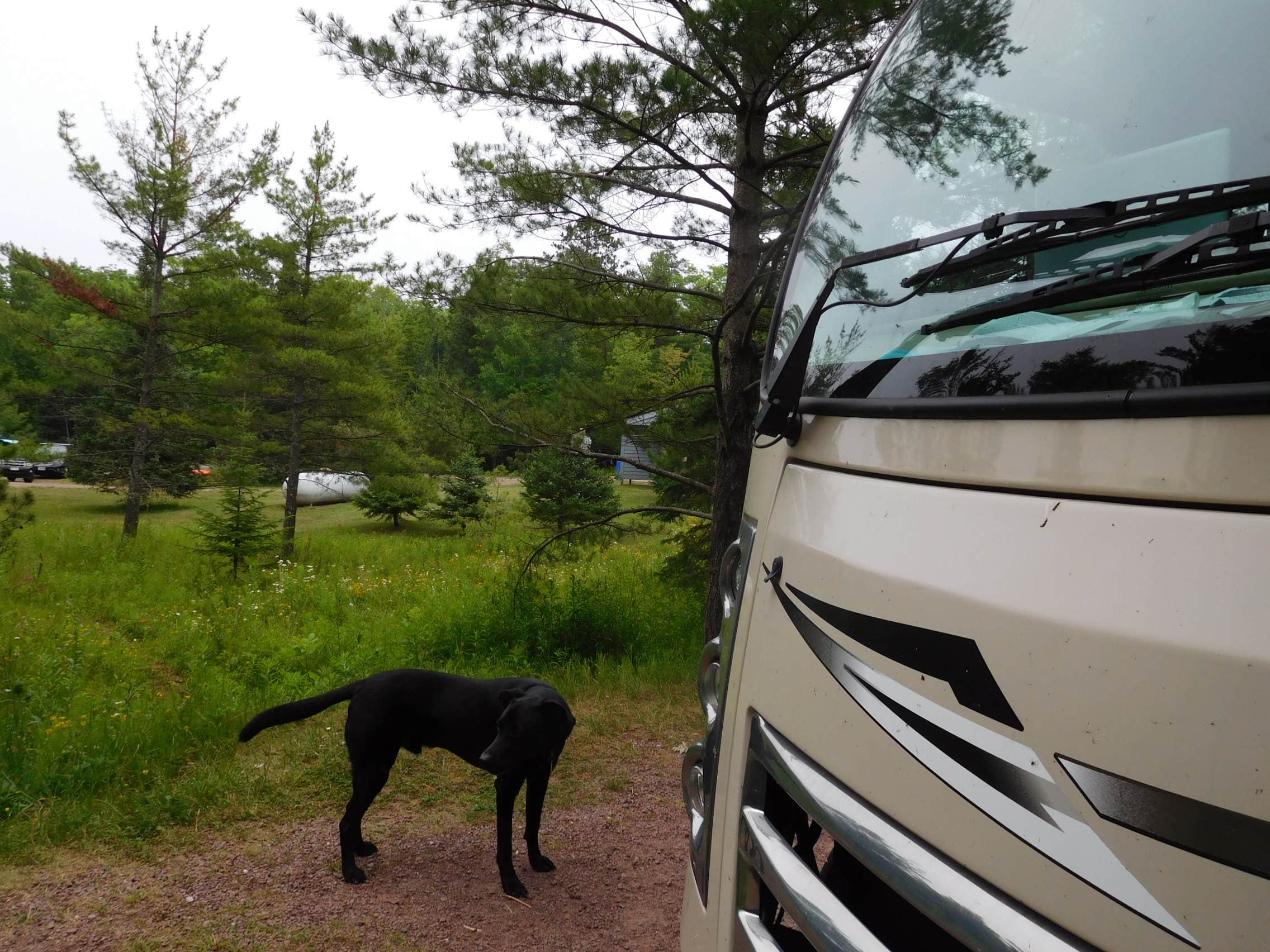Debra M.'s photo of camping with pets at Big Bay State Park Campground near Bayfield, WI