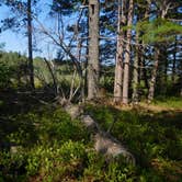 Review photo of Big Bay State Park Campground by Debra M., July 18, 2021