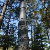 Review photo of Big Bay State Park Campground by Debra M., July 18, 2021